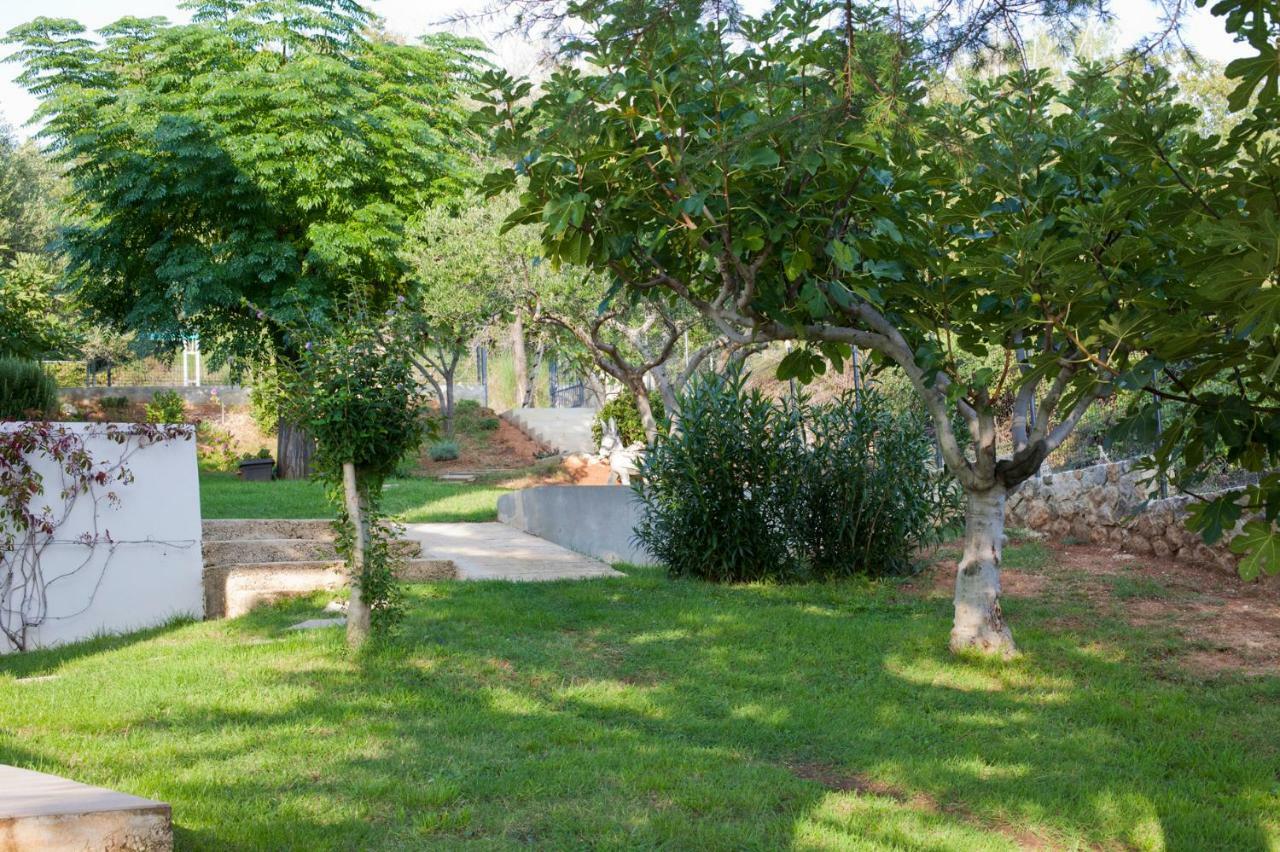 Apartment Robinson Podvrsje Buitenkant foto