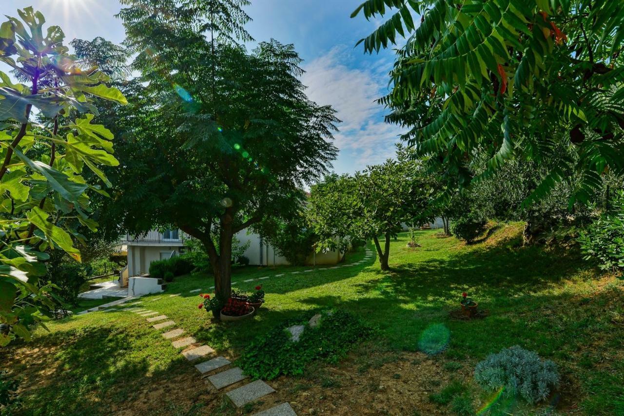 Apartment Robinson Podvrsje Buitenkant foto